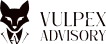 Vulpex Advisory a digitális jelenlét stratégiai partnere.